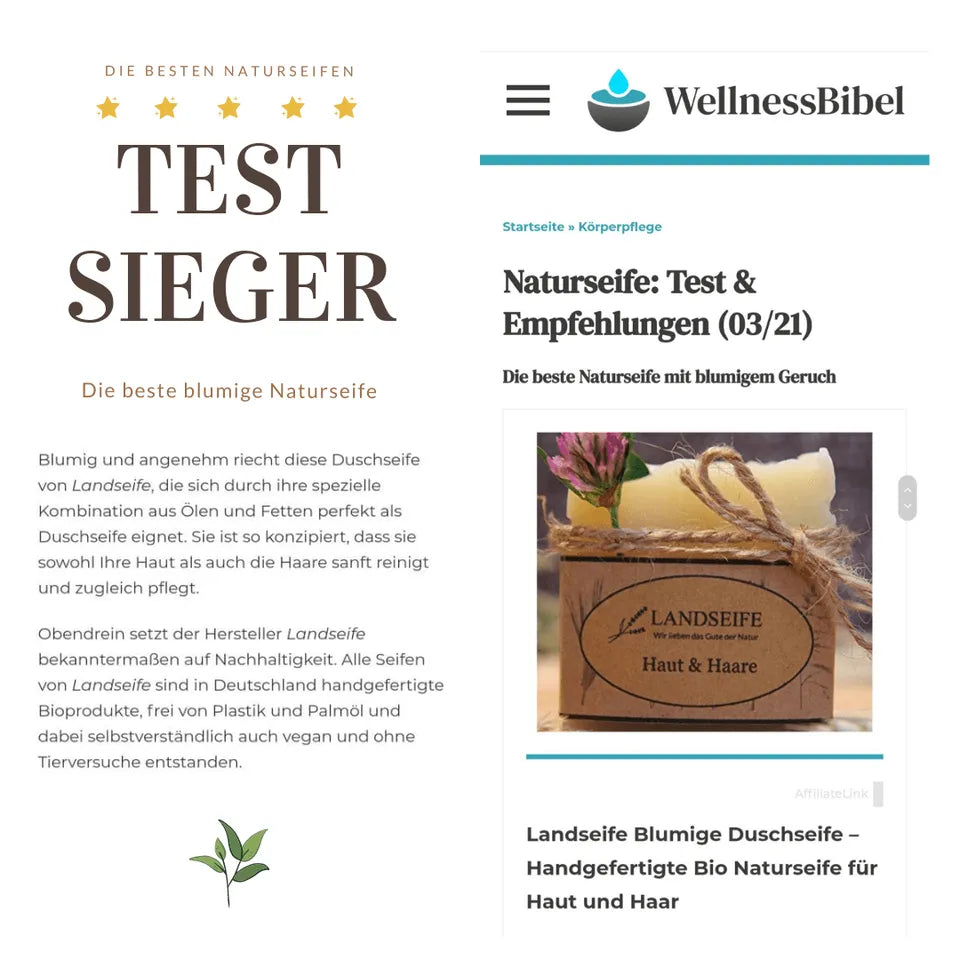 Testsieger